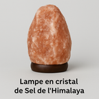 N02 Coffret Instant précieux - Lampe de sel,Rose savon, Masque Argile rouge, Bougie Parfumée, Diffuseur parfum