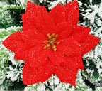 N31 🎁 Coffret Cadeau de Noël Douceur & Magie 🎄